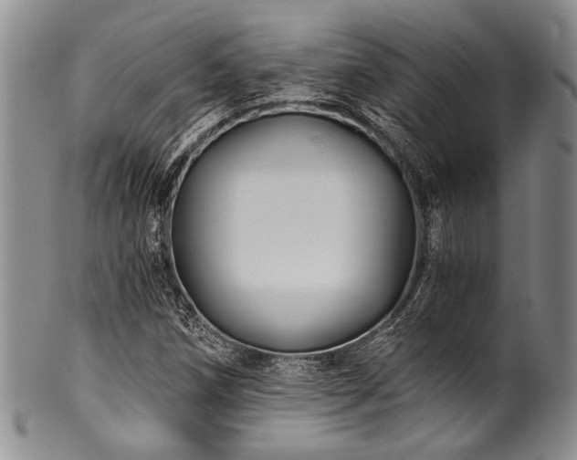 X0000101121258200806261428