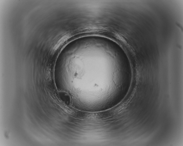 X0000101121259200806261428