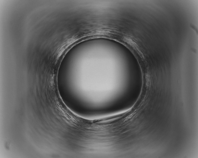 X0000101121260200806261428