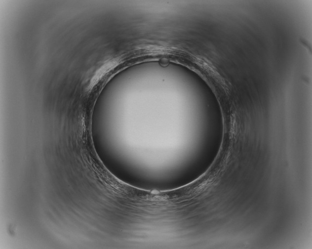 X0000101121261200806261428