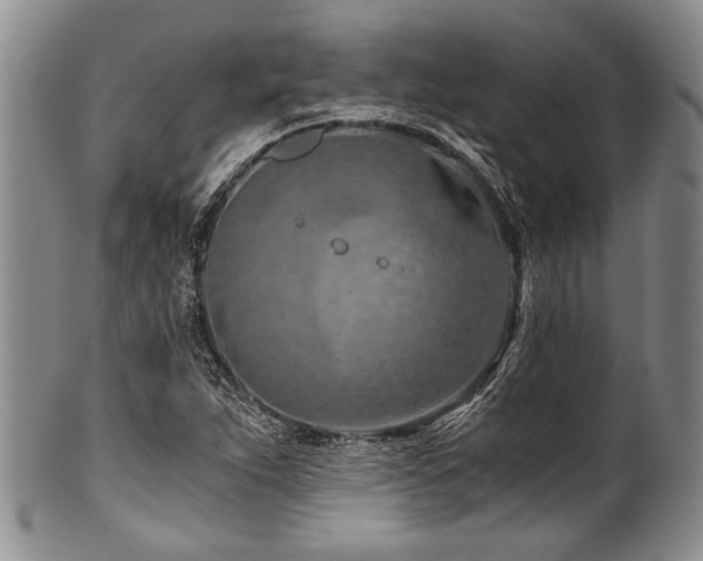 X0000101121263200806261428