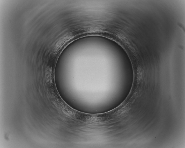 X0000101121265200806261428
