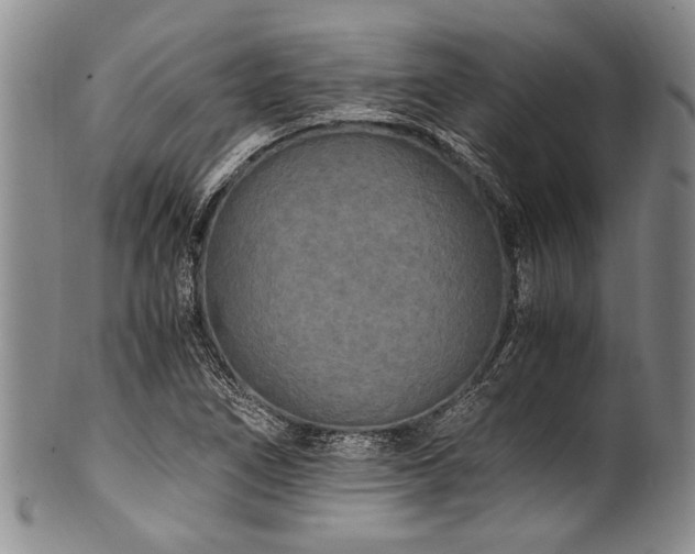 X0000101121266200806261428