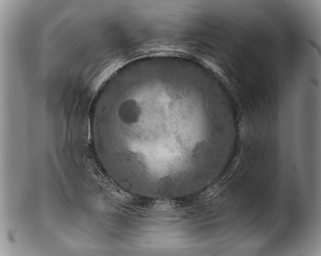 X0000101121267200806261428