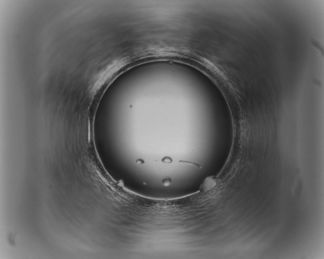 X0000101121269200806261427