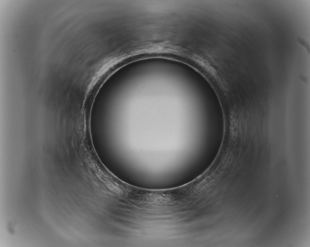 X0000101121270200806261427