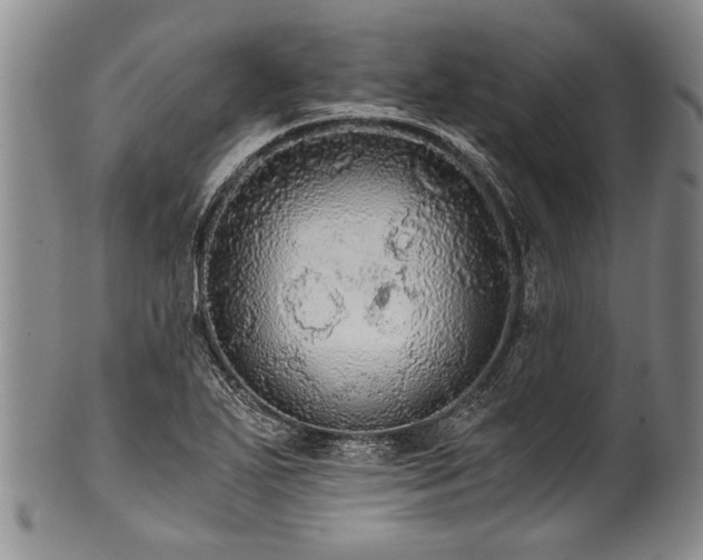 X0000101121271200806261427