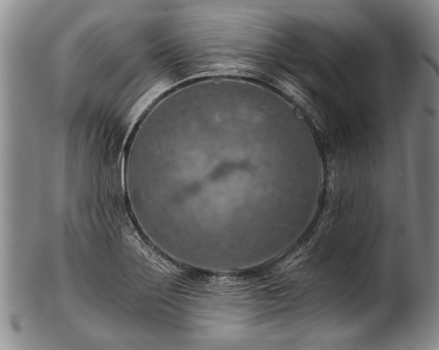 X0000101121275200806261427