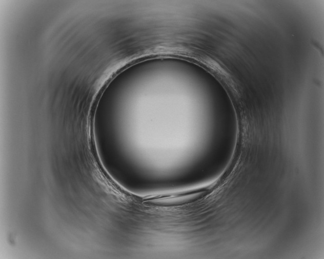 X0000101121280200806261427