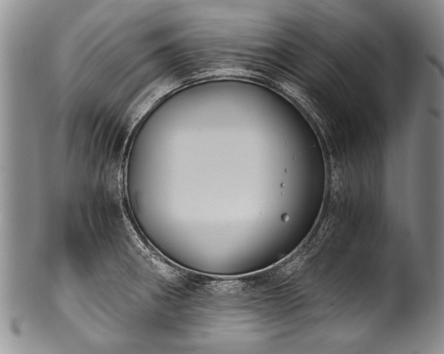 X0000101121282200806261427