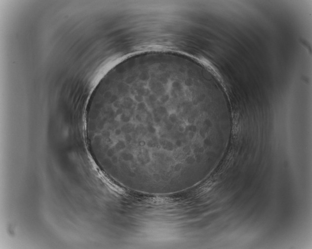 X0000101121287200806261427
