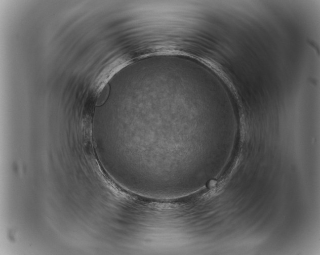 X0000101121289200806261427