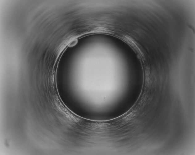 X0000101121292200806261427