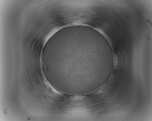 X0000101121294200806261427