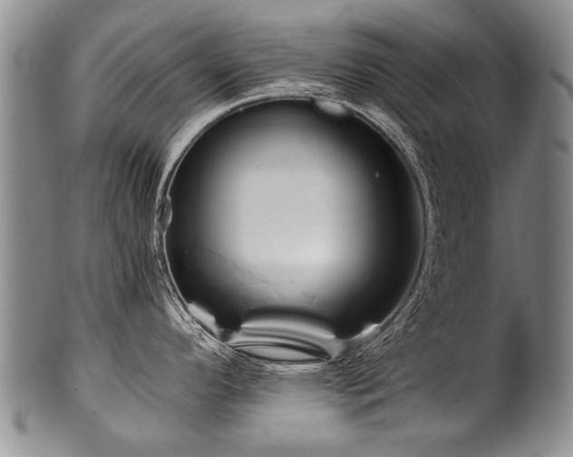 X0000101121296200806261427