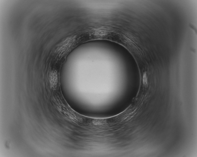 X0000101121299200806261426