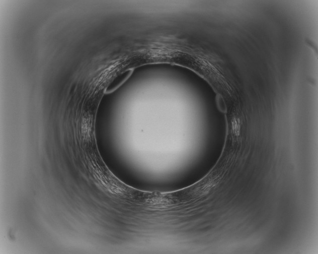 X0000101121300200806261426