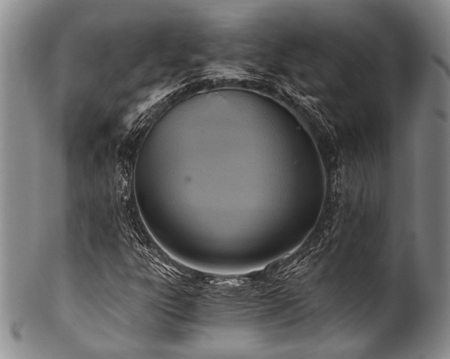 X0000101121303200806261426