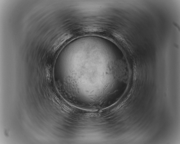 X0000101121305200806261427