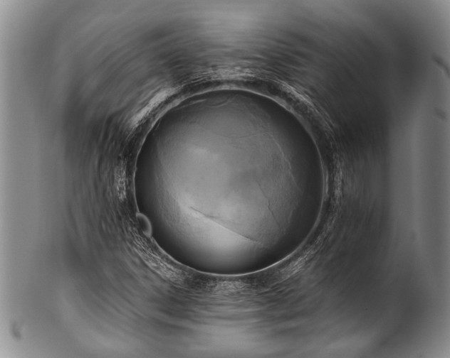 X0000101121306200806261427