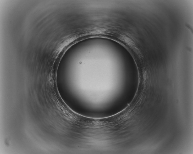 X0000101121308200806261427