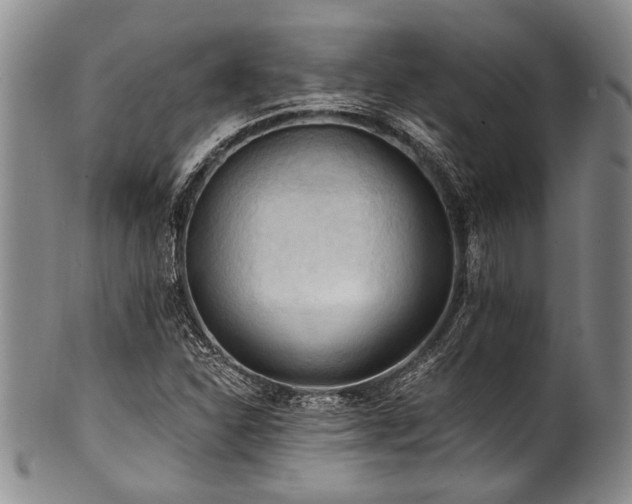 X0000101121310200806261427