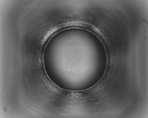 X0000101121312200806261427