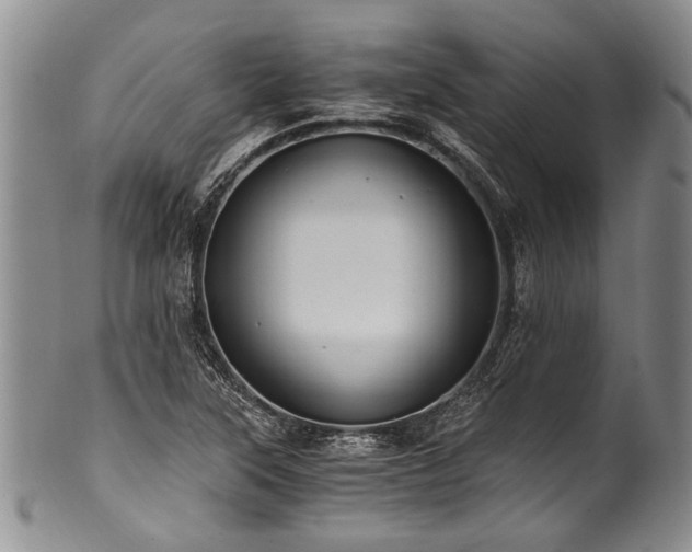 X0000101121315200806261427