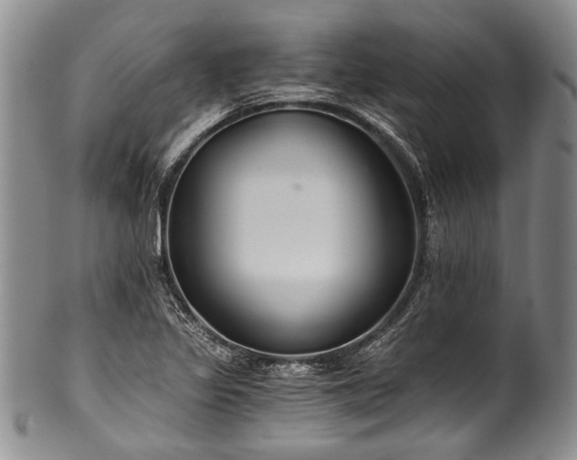 X0000101121317200806261427