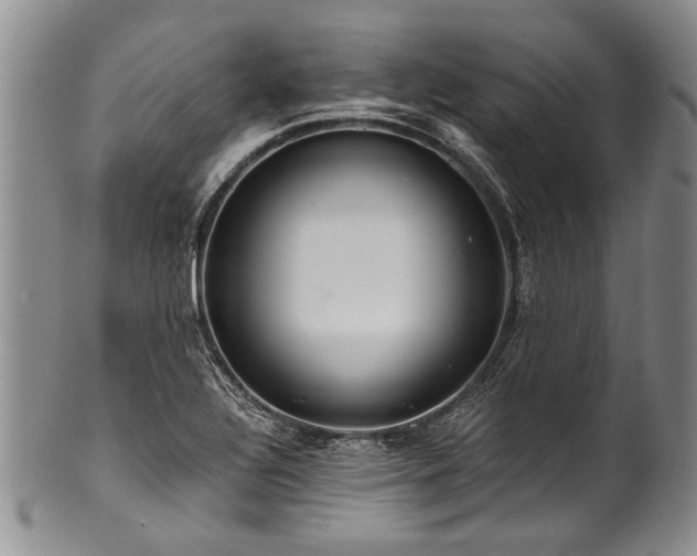 X0000101121320200806261427