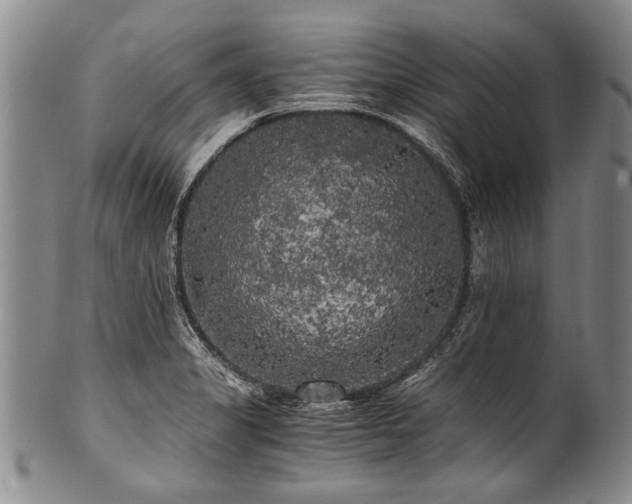X0000101121325200806261427