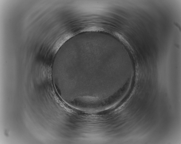X0000101121329200806261427