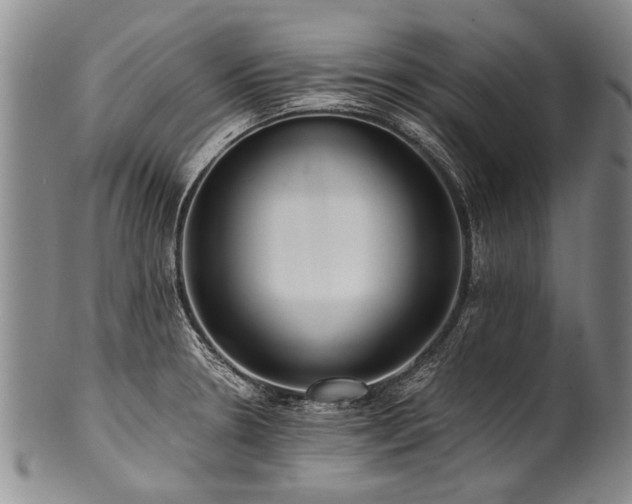 X0000101121330200806261427