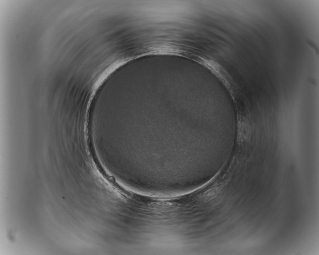 X0000101121331200806261427