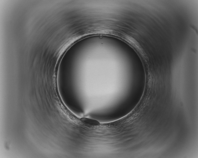 X0000101121332200806261427