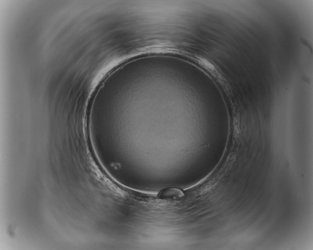X0000101121334200806261427