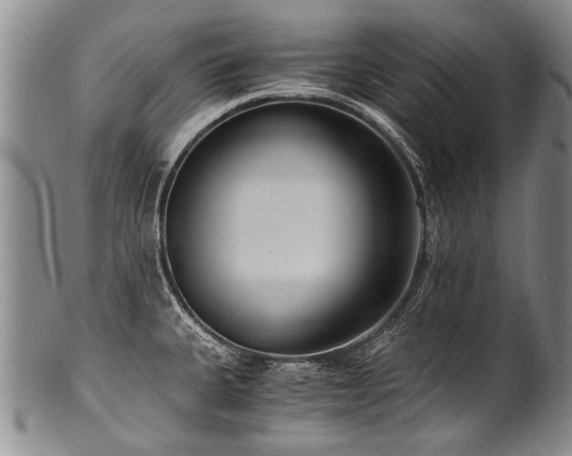 X0000101121335200806261427