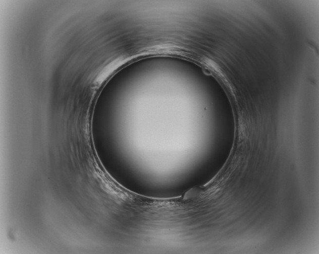X0000101121336200806261427