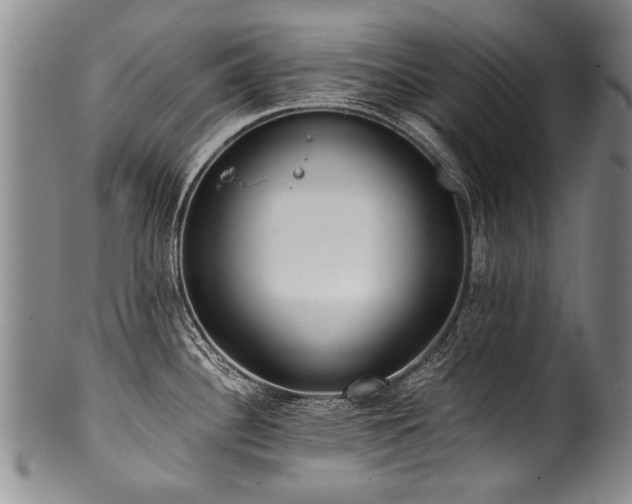 X0000101121340200806261427