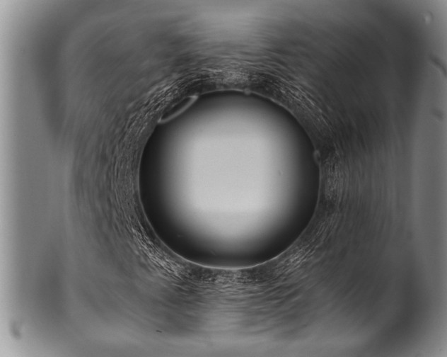 X0000101121345200806261426