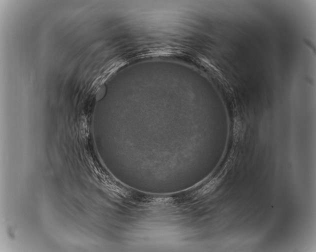 X0000101121353200806261426