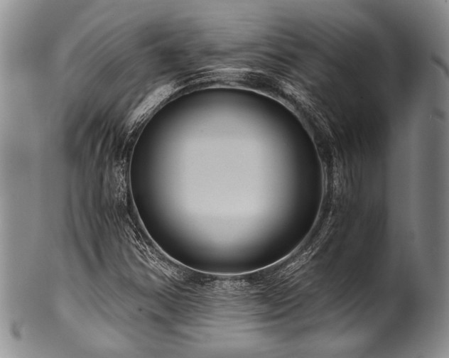X0000101121354200806261426