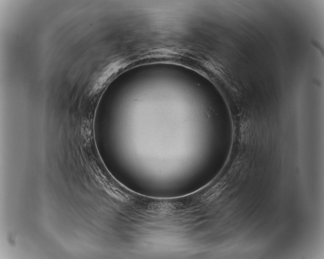 X0000101121355200806261426