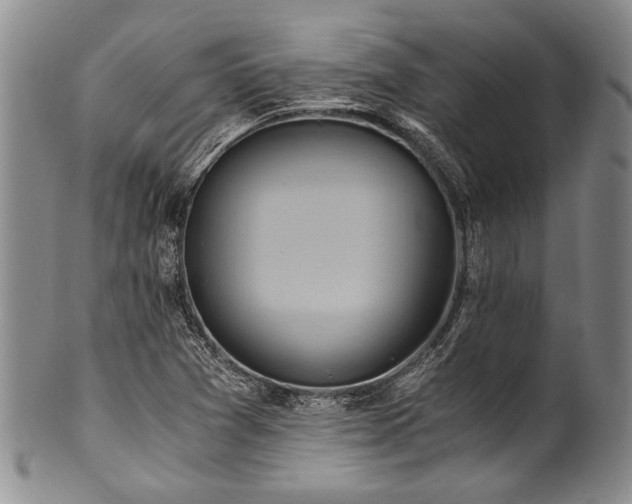 X0000101121361200806261426