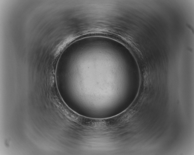 X0000101121363200806261426