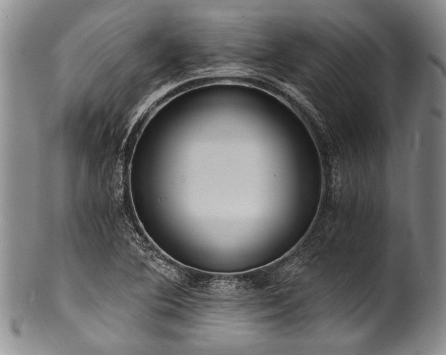 X0000101121364200806261426