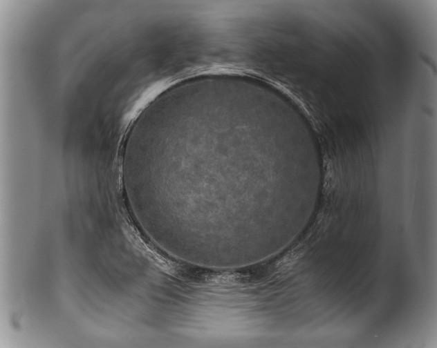 X0000101121367200806261426