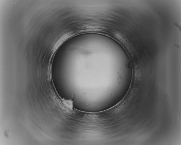 X0000101121370200806261426