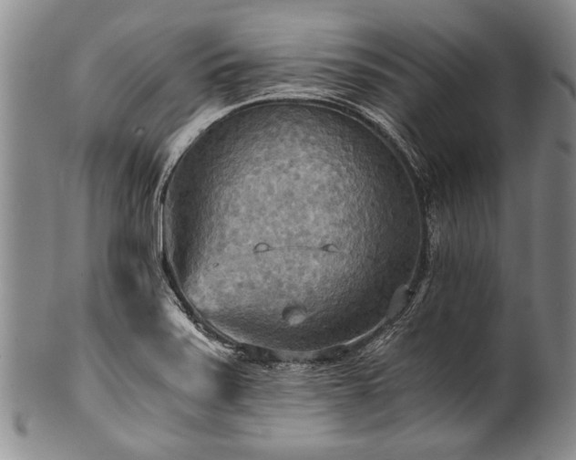 X0000101121371200806261426