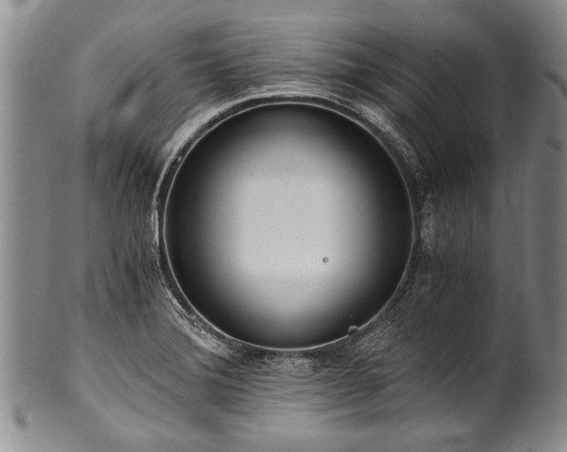 X0000101121372200806261426